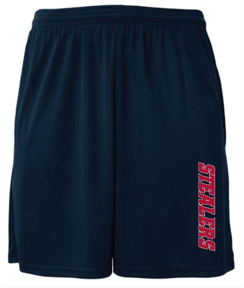 Upstate Stealers Shorts